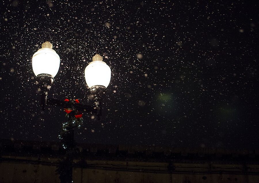 Five-night lantern festival installation across a public park