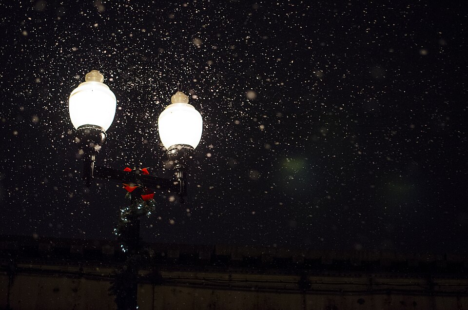 Five-night lantern festival installation across a public park